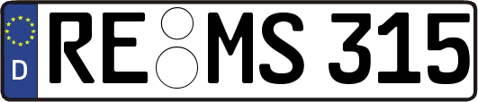 RE-MS315