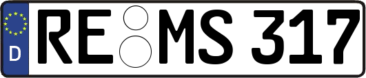 RE-MS317