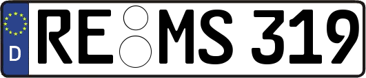 RE-MS319