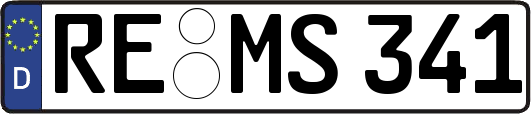 RE-MS341