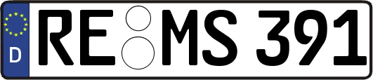 RE-MS391