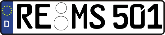 RE-MS501