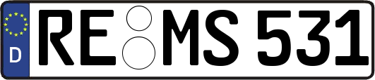 RE-MS531
