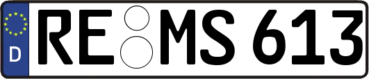 RE-MS613
