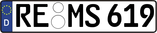 RE-MS619