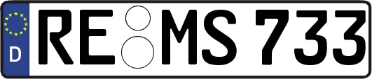 RE-MS733