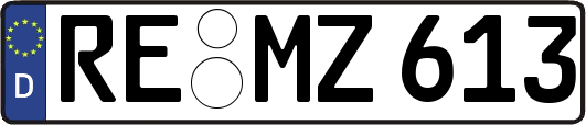 RE-MZ613