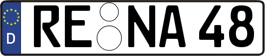 RE-NA48