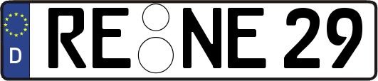 RE-NE29