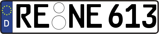 RE-NE613