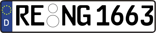 RE-NG1663