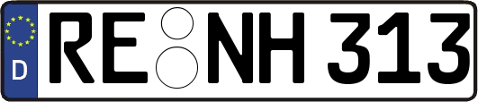 RE-NH313