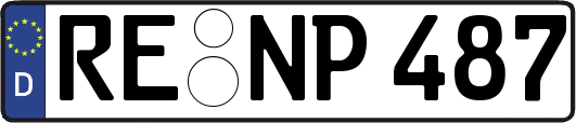 RE-NP487