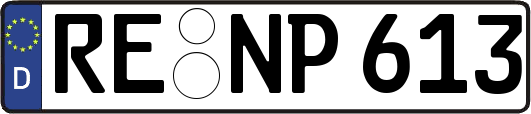 RE-NP613