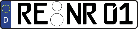 RE-NR01