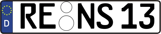 RE-NS13