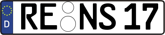 RE-NS17