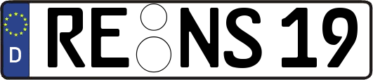 RE-NS19