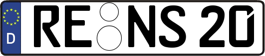 RE-NS20