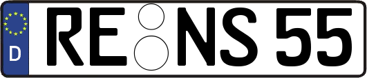 RE-NS55