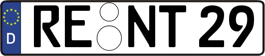 RE-NT29