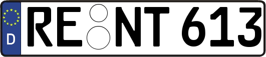 RE-NT613