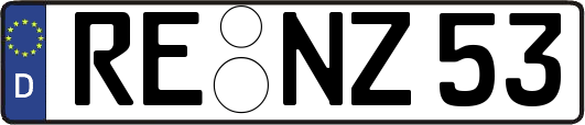 RE-NZ53