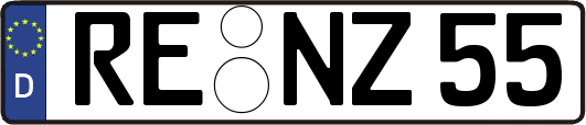 RE-NZ55
