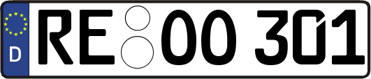 RE-OO301