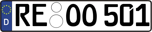 RE-OO501