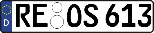 RE-OS613