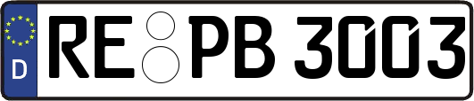 RE-PB3003
