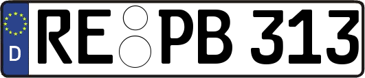 RE-PB313