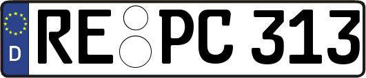 RE-PC313