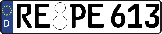 RE-PE613