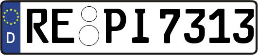 RE-PI7313