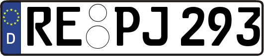 RE-PJ293
