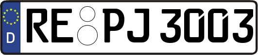 RE-PJ3003