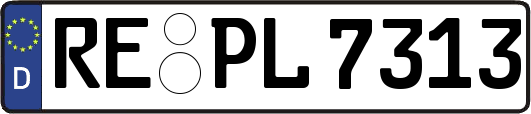 RE-PL7313