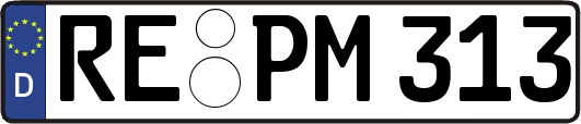 RE-PM313
