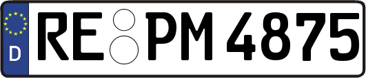 RE-PM4875