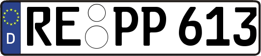RE-PP613