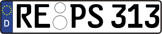 RE-PS313