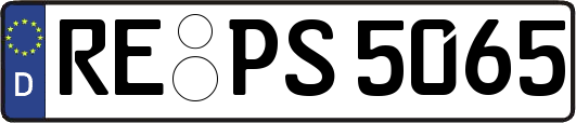 RE-PS5065