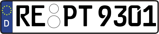 RE-PT9301