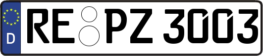 RE-PZ3003