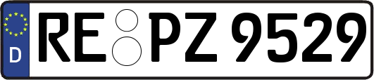 RE-PZ9529