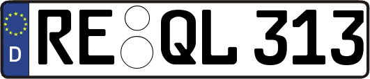 RE-QL313