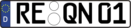 RE-QN01
