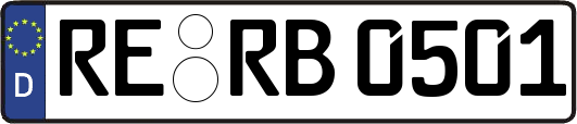 RE-RB0501